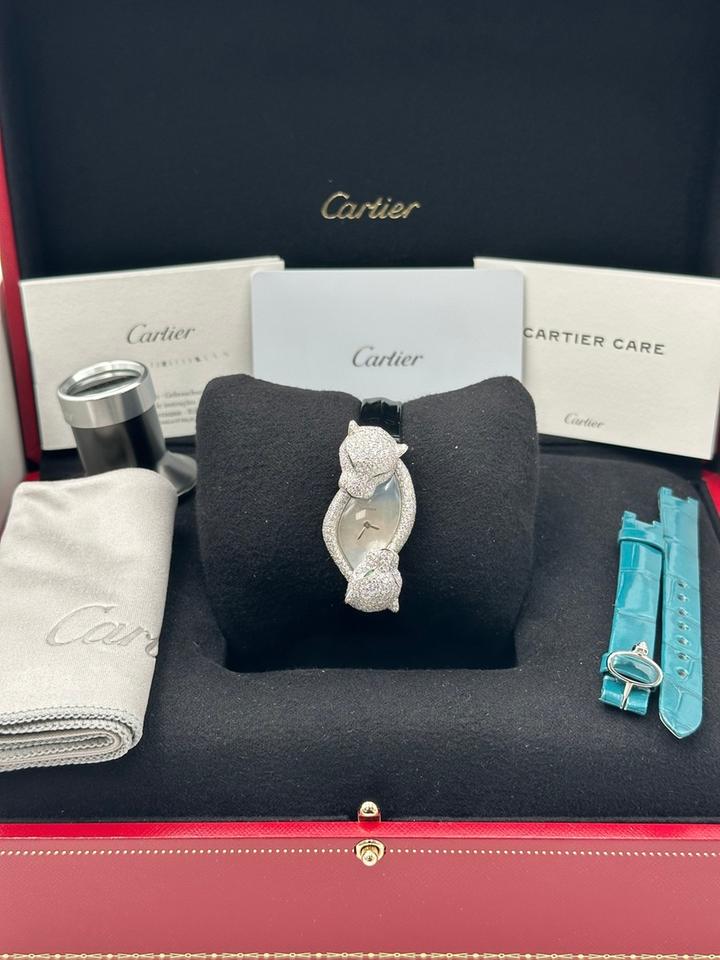 Cartier Watch